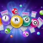 bingo lottery